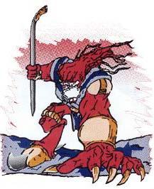 Aardwolfs Ice Hockey Club, New Zealand